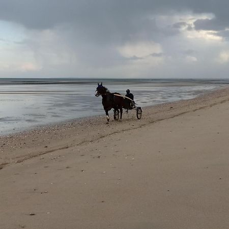 Gites "Plage" Ou "Pieds Dans L'Eau" En Front De Mer A Asnelles , 3Km D'Arromanches, 10Km De Bayeux Exterior foto